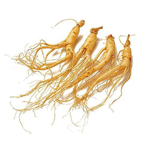 参鶏湯用人参 100g